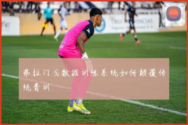 弗拉门戈数据训练系统如何颠覆传统青训