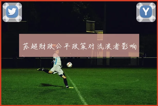 苏超财政公平政策对流浪者影响