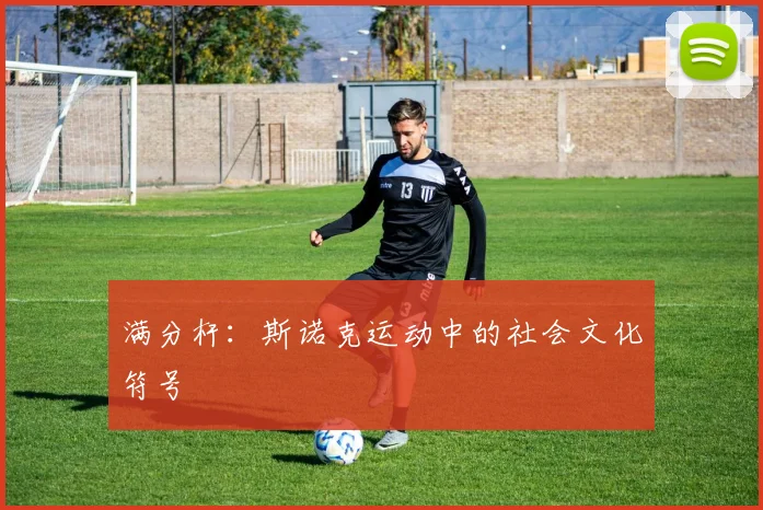 满分杆：斯诺克运动中的社会文化符号