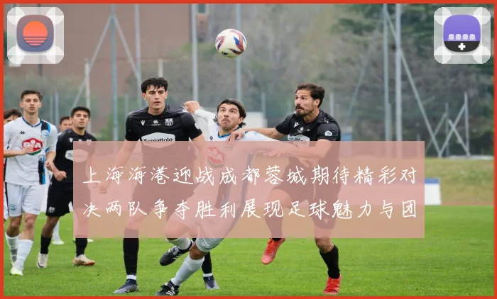 上海海港迎战成都蓉城期待精彩对决两队争夺胜利展现足球魅力与团队精神